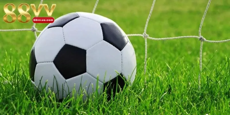 Kèo rung hội tụ nhiều ưu điểm nổi bật